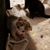 Suzette Morrissey's profile image