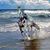 Janie Carla Laird Gomez's profile image