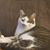 Roxanne Magee's profile image