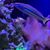 Tito Rodriguez's profile image