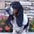 Leisa Jaime's profile image