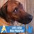 Bud Ruther's profile image