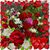 Betty Ann Orum Clutter's profile image
