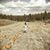 Tyanne Karinga's profile image