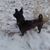 Moskibiri Boo's profile image