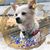 Terry Lau's profile image