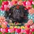 Betty Sheridan Harris's profile image