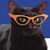 Tara Fraser's profile image