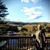 Doreen Diorio's profile image