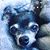Nomi Eros-Gonz's profile image
