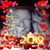 Eileen Snyder's profile image