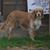 Deb McCuean's profile image