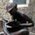Clare Keefe Coleman's profile image