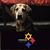 Bernadette Dailey's profile image