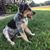 Nancy Crist-Evans's profile image