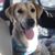 Linda Willis Blalock's profile image