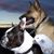 Nona Ahearn Kennedy's profile image