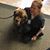 Tricia Lind Ross's profile image
