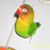Melanie Marne Armiger Merriken's profile image