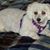 Annamaria Profit's profile image