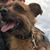 Harriet Haber's profile image