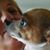 Kristin Fisher Jester's profile image