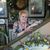 Sandra Stadheim's profile image