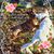 Debbie Beck Lawlor's profile image