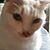 Kathy Smith's profile image