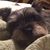 Bridget McKeon's profile image