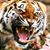 Margie Wagner's profile image