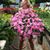 Tinne De Coster Leonard's profile image