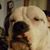 Dawn Donagan Buzzell's profile image
