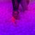 Chamar Daniels's profile image