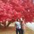 Miranda Holsey Carter's profile image