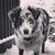 Jill Thorburn's profile image