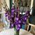 Nancy Jackson's profile image