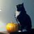 Beth-Ann Brown's profile image