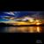 Tammy Peters Joyce's profile image