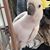 Missy Kanehl's profile image
