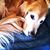 Melanie Salsbury-Facundo's profile image