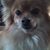 Nita Newell's profile image
