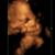 Tanya Ann Rivas Lovos's profile image