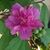 Kim Cole's profile image