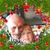 Brenda Rice Holdren's profile image
