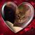 Denise Ferguson Carrera's profile image