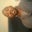 D Byas's profile image