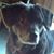 Jeanne Wilson's profile image
