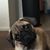 Alberto Razo's profile image