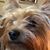 Susan Hendricks's profile image